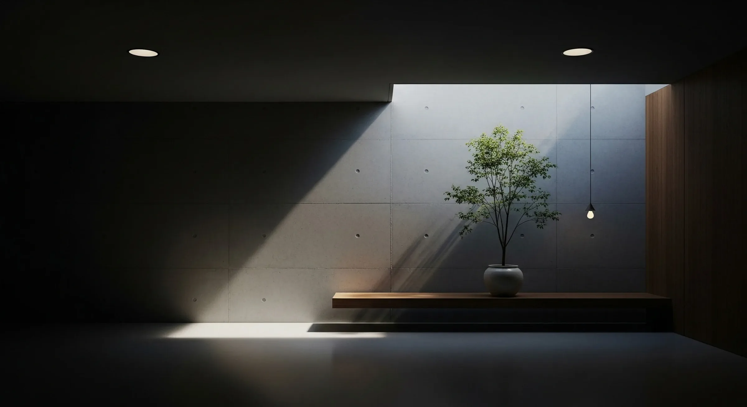 Small tree and timber bench beneath a roof opening in a shadowed concrete room.